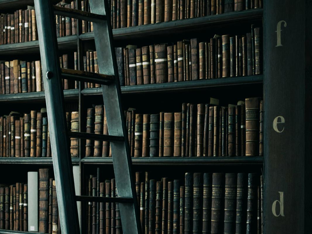 library with ladder