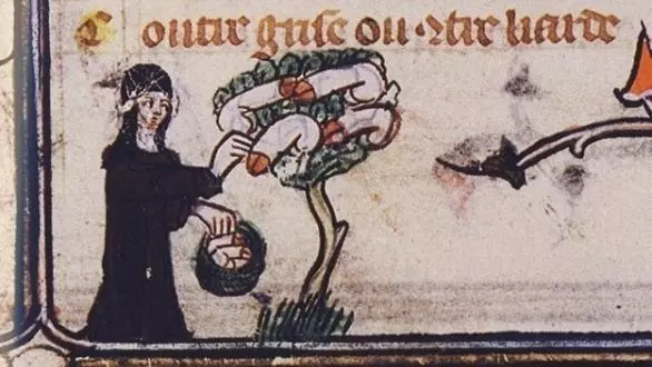 marginalia en roman de la rose