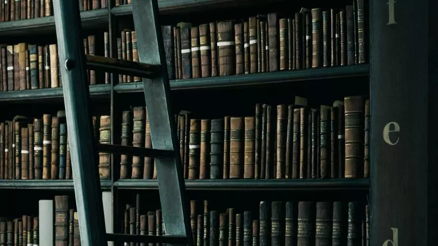 library with ladder