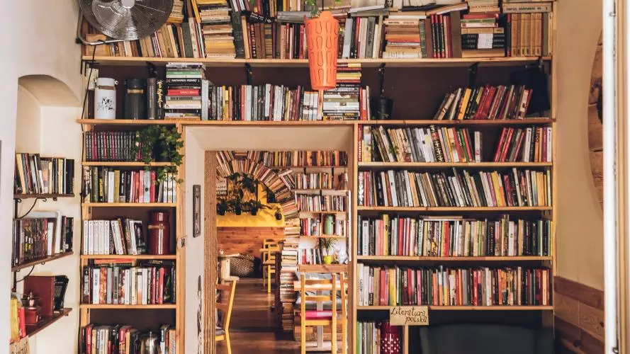 Bookshelves very full of books